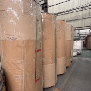 Matière première biodégradable imperméable enduite de PE, personnalisée et directement de l'usine, pour gobelets en papier jetables écologiques - Product Image 6