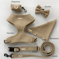 Collier pour chien en velours côtelé réglable anti-traction, personnalisé avec logo, de luxe, de créateur, de marque privée, pour la vente en gros