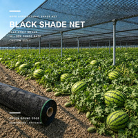 Zwaarwegend HDPE warp gebreid UV-bestendig schaduwnet voor landbouwkassen, meloen- en fruitteeltbescherming, schaduwrol