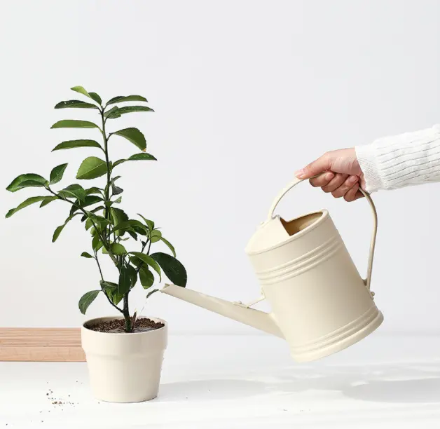 Pots d'arrosage en plastique pour plantes d'intérieur petit arrosoir vaporisateur Long avec tête d'arrosage