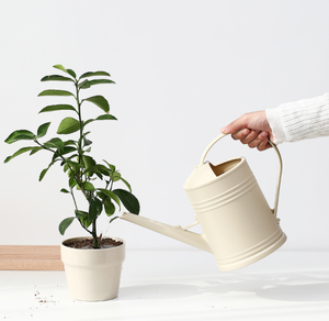 Plastic Watering Pots Indoor Plants Small Watering Can Long Spray Can with Sprinkler Head