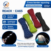 Cordon de parachute tressé en paracorde personnalisé, durable, 100 pieds, 7 brins, 4 mm, 550 lb, en nylon/polyester réfléchissant pour tente et camping