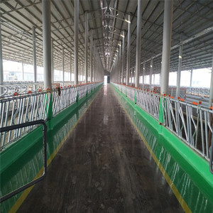 Estructura de Acero para Construcción de Establos de Vacas <span class=keywords><strong>con</strong></span> Acero Q345B para un Diseño de Granja Eficiente y Duradero - Product Image 2