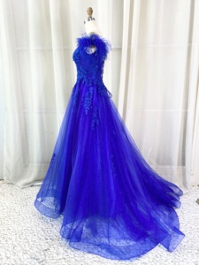 <span class=keywords><strong>Robe</strong></span> <span class=keywords><strong>de</strong></span> soirée bleu roi à épaules dénudées <span class=keywords><strong>avec</strong></span> plumes, motif floral 3D et strass, en tulle, coupe trapèze, idéale <span class=keywords><strong>pour</strong></span> bal <span class=keywords><strong>de</strong></span> promo, mariage ou concours <span class=keywords><strong>de</strong></span> beauté – Vente directe usine - Product Image 6