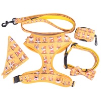 Personnalisable Petit Designer Chiot Harnais Gilet Gris Collier de Chien Laisse Ensemble avec Impression Personnalisée Réglable