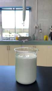 น้ำยางเหลวธรรมชาติ megatex 15เกรดอุตสาหกรรมที่มีความแข็งแรงฉีกขาดสูงสำหรับผลิตภัณฑ์กาว - Product Image 6