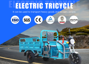 ECE 600W Differential Motorized Open Body Large Screen Digital Instrument Panel Electric Tricycle for Cargo Use - Product Image 4