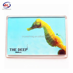 All'ingrosso chiaro acrilico cornice di tipo morbido supporto fotografico con il modello rettangolare <span class=keywords><strong>magnete</strong></span> in gomma per la decorazione prezzo a buon mercato - Product Image 6