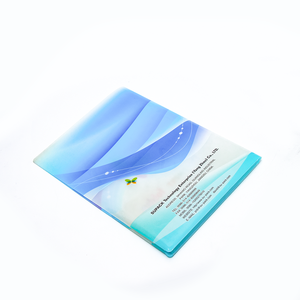 New arrivals plastic clear file folder PET Document Stationery Portfolio custom plastic expandable file folder for file holding