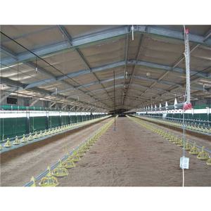 Granja Avícola para 10000 Pollos/Establo para 20000 Pollos, Pato, Cría <span class=keywords><strong>de</strong></span> Aves <span class=keywords><strong>de</strong></span> Corral, Granja <span class=keywords><strong>de</strong></span> Acero, Cría <span class=keywords><strong>de</strong></span> Pollos Económica - Product Image 3