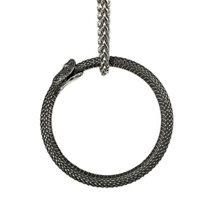 Collar con colgante ovalado de dragón de acero inoxidable yunique para hombre, estilo punk, diseño de animales en relieve, joyería de moda - Product Image 4