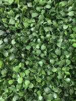 Mur de haie artificielle pour décoration intérieure et extérieure, panneau vert pour fond de mur, mur de plantes artificielles en gazon