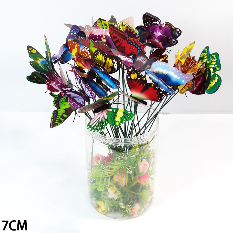 Diameterx25 cm 7cm
