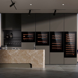 Rượu Tủ Lạnh 24-Chai Thép Không Gỉ Rượu Vang Mát 63L Tft Màn Hình Cảm Ứng LED Chiếu Sáng Hệ Thống Thông Gió Rượu Vang & Nước Giải Khát Làm Mát - Product Image 4