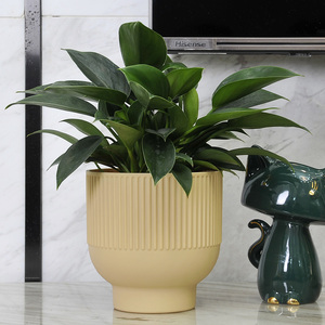 Fabricant de jardinières personnalisées en gros, pots de fleurs de jardin extérieurs, jardinières en plastique texturé <span class=keywords><strong>moins</strong></span> chères de Chine - Product Image 4
