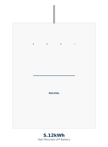 Paquete de Baterías LFP Muloyal de 5.12kWh 48V 100Ah para Montaje en Pared, 6000 Ciclos, BMS IP20, Batería de Almacenamiento de Energía Doméstica para Sistema Solar - Product Image 2