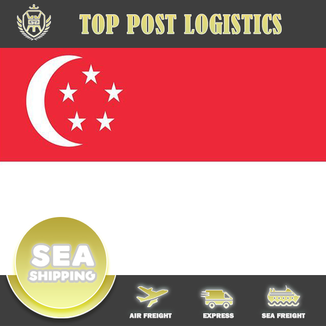 СЛУЖБА ЛОГИСТИКИ электронных продуктов FCL/LCL DDP DDU Доставка из Китая по всему миру по морю/воздуху/Eepress