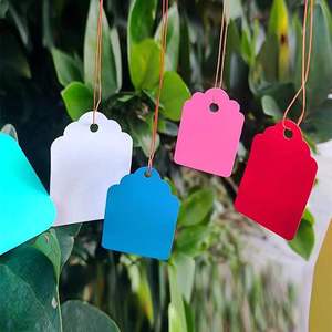 Marqueurs de variétés de semis de plantes de jardinage en gros transfrontalier, étiquettes de plantes, marqueurs d'arbres fruitiers, marqueurs de fleurs, étiquettes en plastique imperméables - Product Image 1