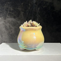 Pot de fleurs pour succulentes, simple, effet nacré, coloré, électroplaqué, respirant, résistant à la corrosion, minimaliste, mignon