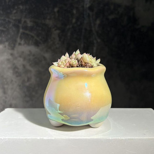 Maceta para Suculentas, Simple, con Ilusión Perlada, Colorida, Electrochapada, Transpirable, Resistente a <span class=keywords><strong>la</strong></span> Corrosión, Minimalista y Bonita - Product Image 2