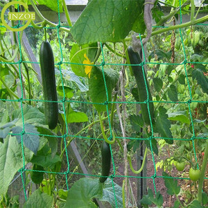 Vente en gros de filet de jardin ajouté par UV Mesh pour l'ensemencement - Product Image 5