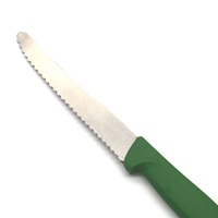 Couteau à steak dentelé de haute qualité de vente chaude