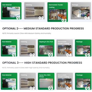 Pista de Pádel EXITO con Estructura de Acero y Pulverización Electrostática, Diseño Panorámico con <span class=keywords><strong>Descuento</strong></span> Especial, Instalación Disponible - Product Image 6