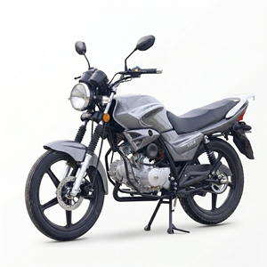 Motocicleta Deportiva de Calle de Alto Rendimiento de 125cc, Motor sin Escobillas, Tecnología de Motor Avanzada CDI, Bajo Costo de Mantenimiento, Velocidad Máxima >80km/h - Product Image 3