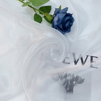 Tissu Organza Bleu Ciel Étoilé Brillant avec Fil Scintillant pour Robe de Mariée, Décoration de Fête, Artisanat DIY et Décoration Nuptiale