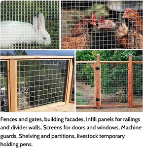 1/2"X1/2" 304 Stainless Steel Welded Cage Wire Poultry <b>Netting</b>, Welded Wire Mesh for Animal <b>Fencing</b> - Product Image 2