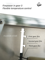 Poêle à pique-nique portable en acier inoxydable gril de barbecue gril de table pliable pour une utilisation en extérieur aucune installation requise