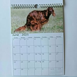 2026 A4 Size Wall <b>Calendar</b> Personalized House Advent <b>Calendar</b> with Pooping Dogs Colorful Spiral Printed Custom <b>Calendar</b> - Product Image 5
