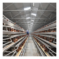 Cage à poules pondeuses, équipement avicole pour l'élevage de poules pondeuses, cages pour animaux