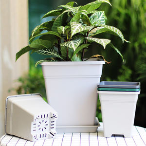 Carré Changsheng <span class=keywords><strong>Aoyama</strong></span> pot de roses en plastique pour plantes d'intérieur, pot de fleurs, pots de jardinières - Product Image 3