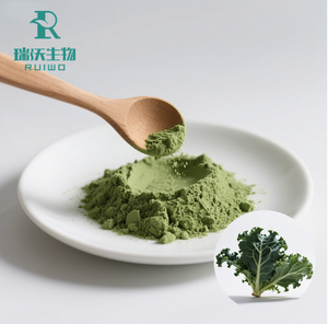 Toptan <span class=keywords><strong>100%</strong></span> doğal organik <span class=keywords><strong>Kale</strong></span> tozu 99% sebze özü gıda sınıfı ot bitkisel özü fabrika doğrudan satış - Product Image 2