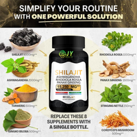 Capsules de Shilajit, Crinière de Lion et Mousse de Mer – Mélange de 3 Superaliments pour la Performance Sportive, le Soutien Cérébral et le Renforcement Immunitaire – Disponible en OEM