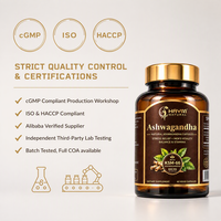 Capsules d'Ashwagandha KSM-66 Naturelles 600mg Marque Privée OEM/ODM – Favorise la Réduction du Stress et la Vitalité Masculine pour Adultes