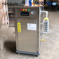 Chaudière à vapeur électrique à production rapide de vapeur, fabriquée en Chine par YG LDR, directement de l'usine, pour les usines textiles et papetières