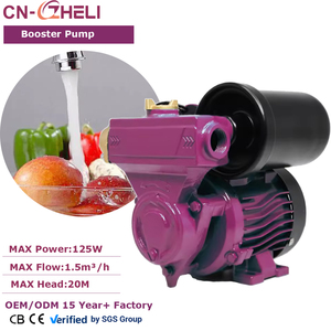 <span class=keywords><strong>Pompe</strong></span> <span class=keywords><strong>de</strong></span> surpression auto-amorçante ZHELI 125W avec moteur à fil <span class=keywords><strong>de</strong></span> cuivre pour l'alimentation en eau industrielle et domestique, <span class=keywords><strong>pompe</strong></span> résistante à la corrosion - Product Image 1