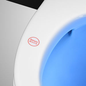 FABIAO Cuves De Toilette Moderne Sanitaires En Céramique Toilette Monobloc Wc Toilette Au Sol - Product Image 2