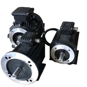 Motor para Automóvil sin Escobillas de Alto Torque de 1KW Monofásico Venta Directa de Fábrica - Product Image 1