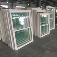Fenêtre verticale à double battant en PVC sur mesure, style victorien, résistante au froid, à double vitrage, à haute étanchéité, coupe-vent pour maison