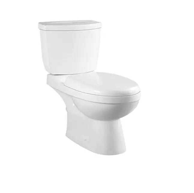 Wholesale Low Price Western Ceramic Sanitary Ware 2 Piece Wash Down Wc Toilet