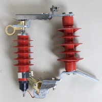Parafoudre en caoutchouc silicone de type amovible HY5WS-17/50DL-TB 10 kV
