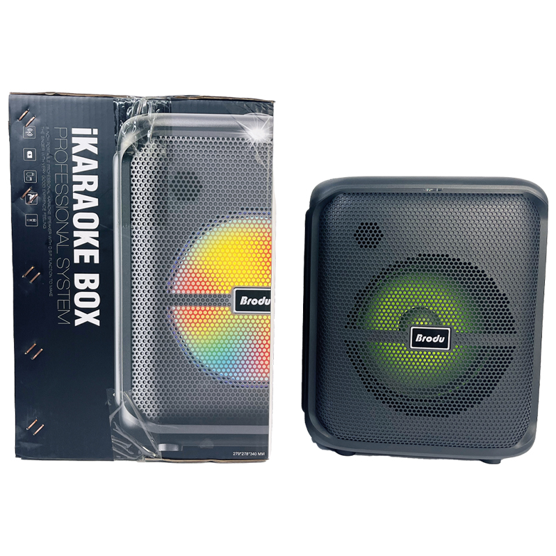 BTS-1740 8 Inch 30W Outdoor Boombox - Portable Wireless Speakers