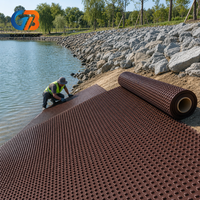Planche de drainage à pointes marron, haute résistance à la traction, stabilisée aux UV, robuste, pour utilisation en talus de treillis d'ancrage