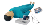 Mannequin ACLS et RCP pour adultes - Modèle de formation en sciences médicales en PVC pour les écoles et les hôpitaux