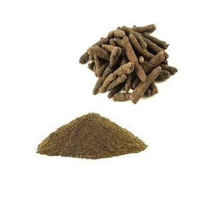 Extracto Seco Natural de Piper Longum Lindi (Pippali) en Polvo, Secado en Bandeja y por Aspersión, Extracto Botánico para Alimentos y Bebidas - Product Image 2