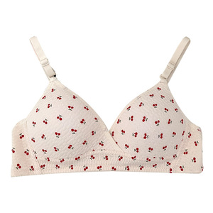 Asie du sud-est transfrontalier japonais <span class=keywords><strong>fleur</strong></span> sous-vêtements femmes <span class=keywords><strong>petite</strong></span> poitrine froncée mince filles <span class=keywords><strong>soutien</strong></span>-<span class=keywords><strong>gorge</strong></span> sans anneaux en acier Senior Hi - Product Image 1