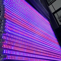 Tendance de la mode ETL listé haute PPFD 640W LED élèvent la lumière avec lampe à spectre complet 660nm pour l'horticulture verticale Séoul lumineux
